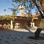 juegos aire libre, jacuzzi, árbol